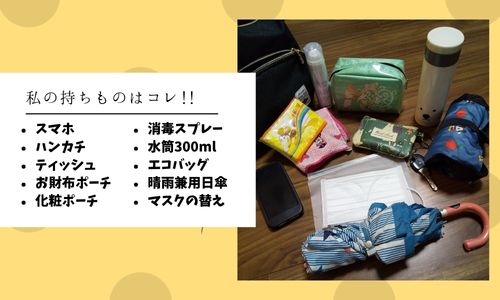 ディズニーの持ち物は少なくできる 夏冬 子連れの必需品もご紹介 みらいぶ