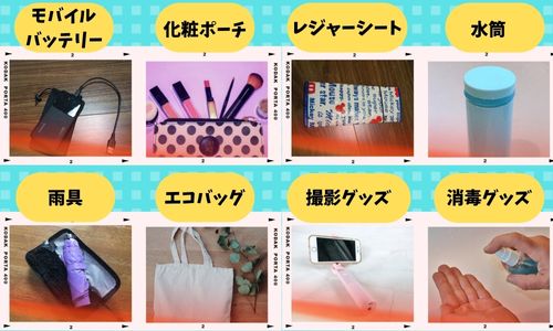 ディズニーの持ち物は少なくできる 夏冬 子連れの必需品もご紹介 みらいぶ